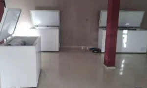 Të fundit