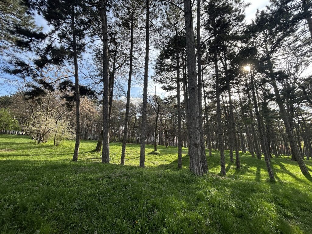 Parashikimi i motit për sot