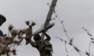 Të fundit