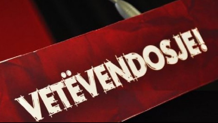 Ishin në balotazh në 12 komuna i fituan 4  zëdhënësi i VV së kthehet në 2013  Ia nisëm me një komunë