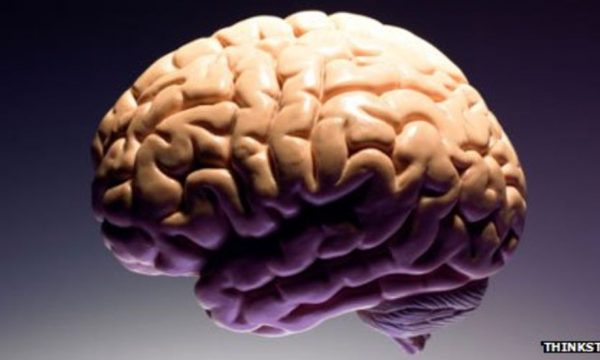 Trurit i duhen 1 5  megabajt  çdo ditë për të memorizuar gjuhën amtare