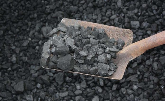 Më shumë thëngjill u prodhua në nëntor 2025 sesa në nëntor 2024