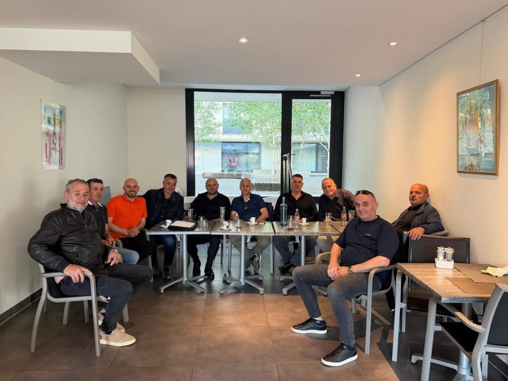 Krasniqi  PDK së i duhet mobilizim më i madh   takime me strukturat në Lausanne dhe Gjenevë