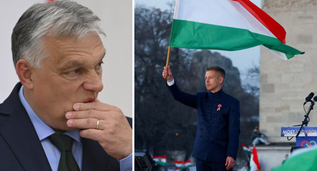 BBC  Sondazhet në Hungari   Magyar kryeson bindshëm  Orbán drejt rrëzimit pas 16 vitesh në pushtet