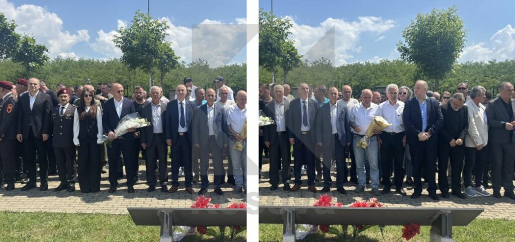 Operacioni  Shigjeta   PDK bën homazhe te varrezat e dëshmorëve