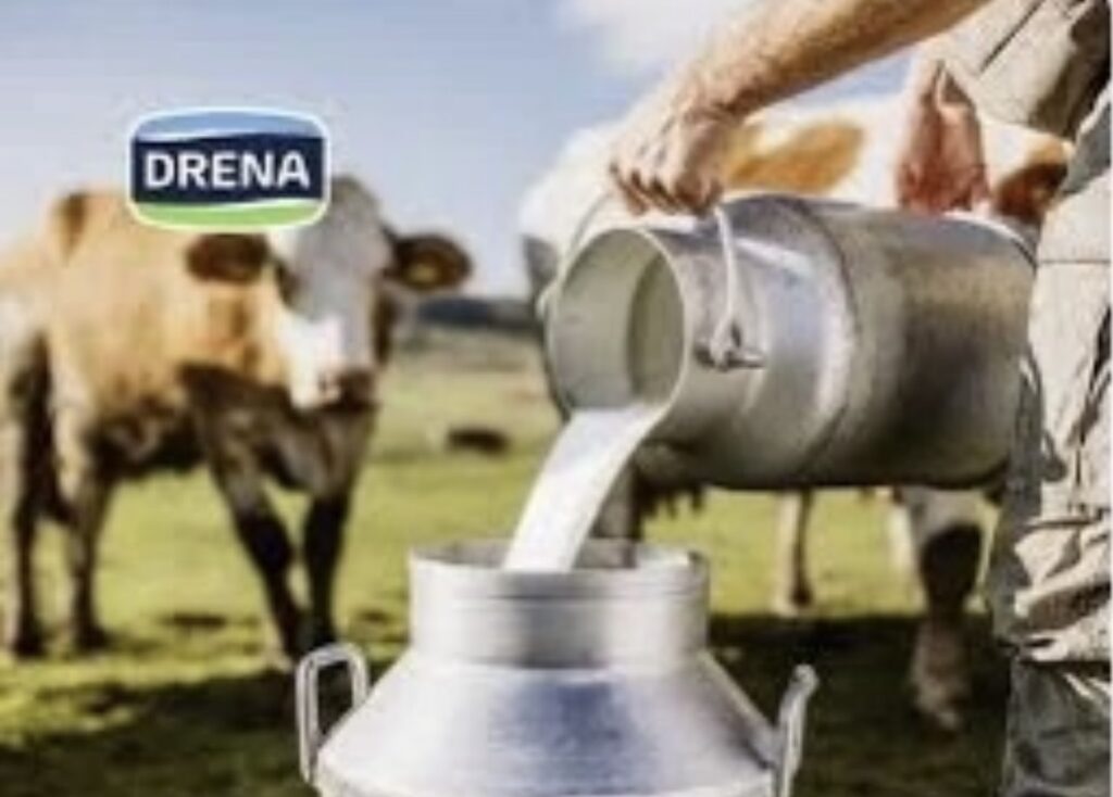  Drena    Letër të Hapur për Institucionet e Kosovës