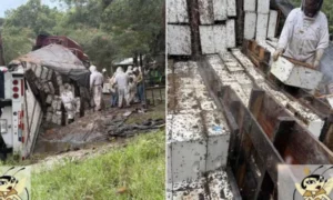 Të fundit