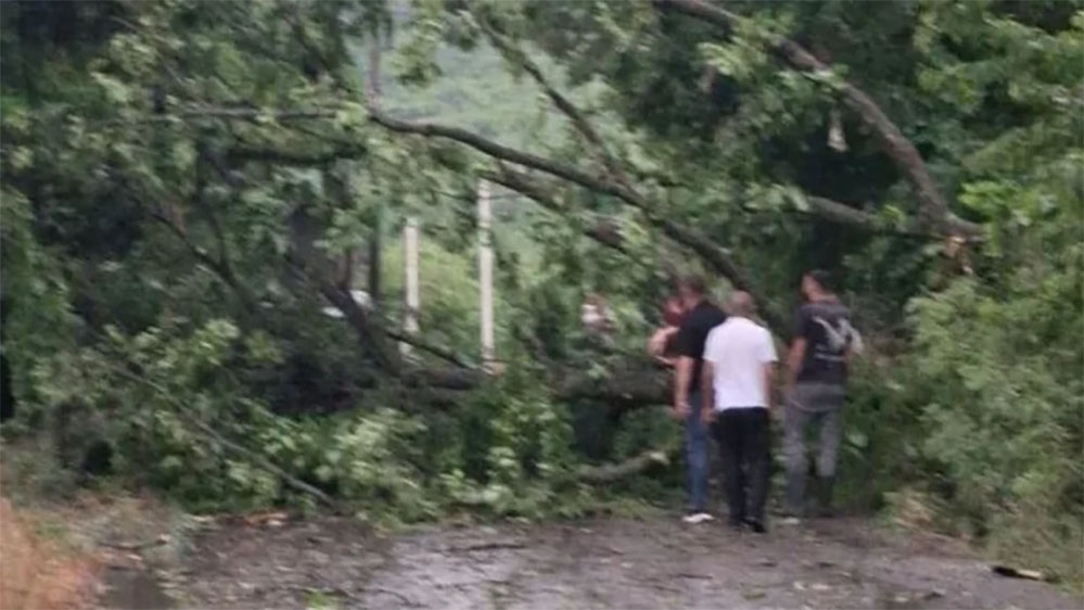 Moti i ligë shkakton dëme në Gjakovë  rrëzohen drunj dhe dëmtohen shtylla elektrike