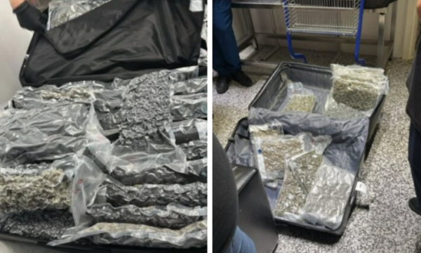 Kapen në valixhe 46 kilogramë drogë në aeroportin  Nënë Tereza 