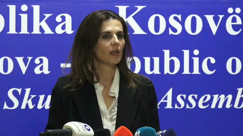 Çitaku  PDK nuk do të bëhet pjesë e përmbysjes së rendit kushtetues