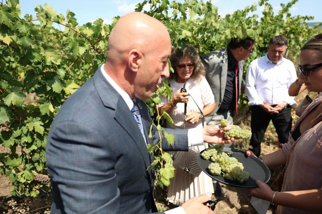 haradinaj-nga-hardh-fest-rahoveci-vazhdon-ta-ruaje-traditen-dhe-te-promovoje-vreshtarine-e-veren