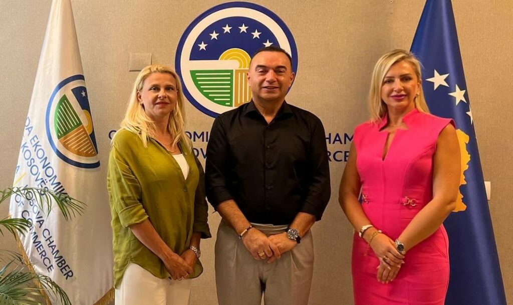 oek-u-dhe-woba-do-te-bashkepunojne-per-rritjen-e-perfaqesimit-te-grave-ne-bordet-drejtuese